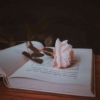 LYTPHOTO